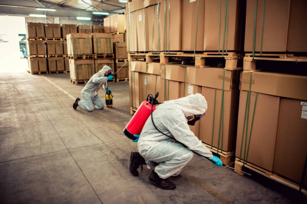 Professional Pest Control in Farmingdale, NJ