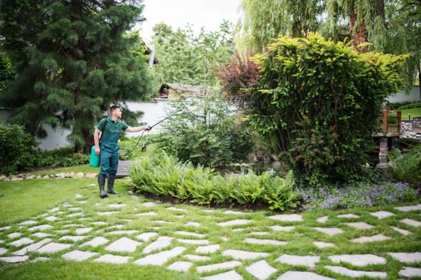 Best Pest Removal Services  in Farmingdale, NJ