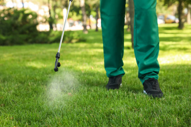 Best Flea Control Services  in Farmingdale, NJ