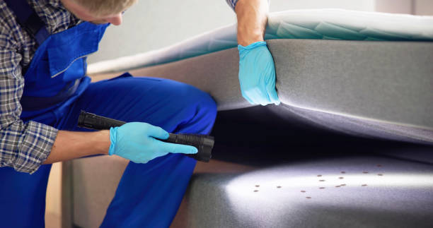 Trusted Farmingdale, NJ Pest Control Experts