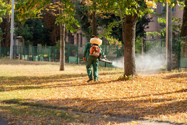 Best Wasp Removal Services  in Farmingdale, NJ